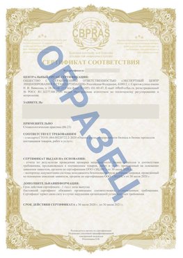 Образец Сертификат СТО 01.064.00220722.2-2020 Туапсе Сертификат СТО 01.064.00220722.2-2020 